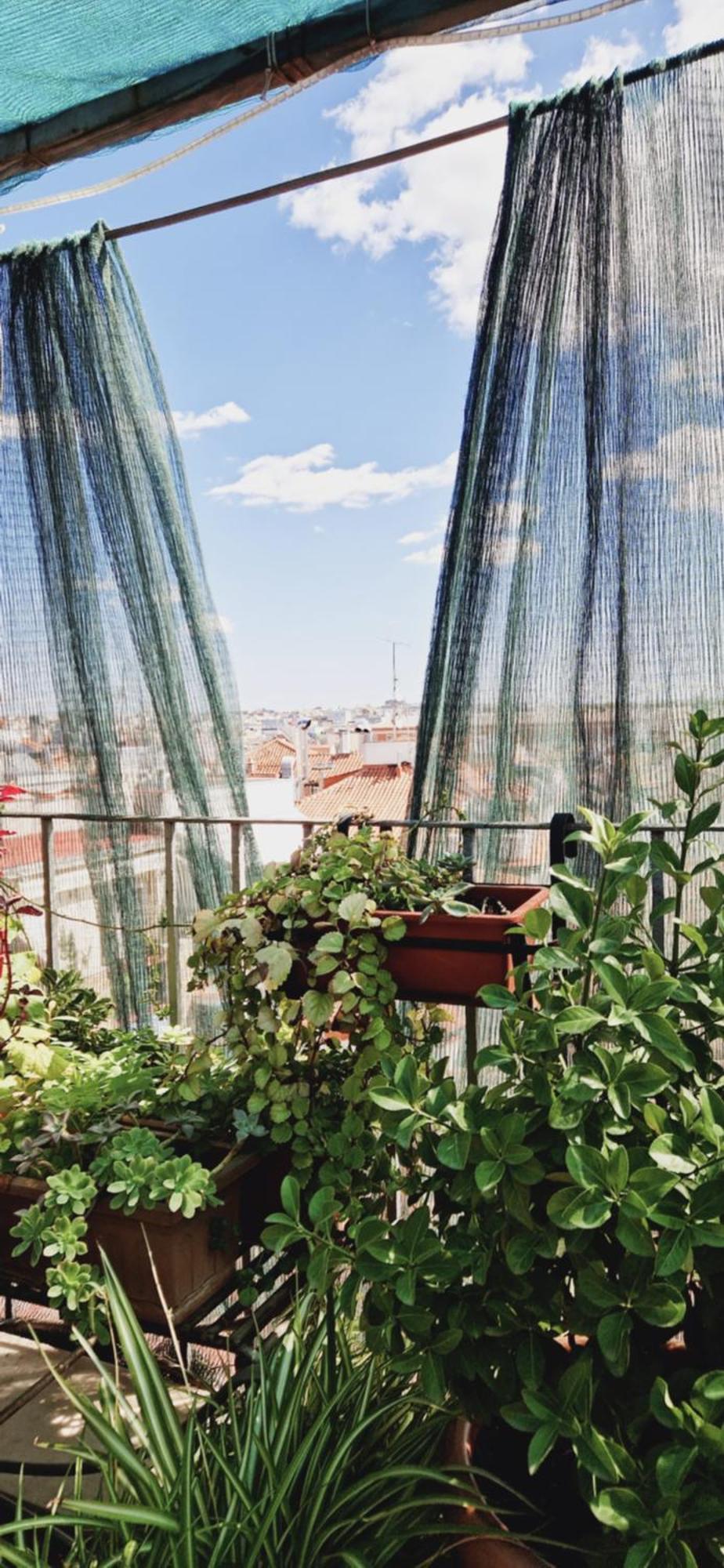 Casa De Huespedes Dolce Vita Madrid Exterior photo